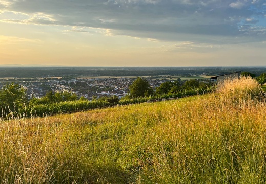 22-06-15 20-32-13 1102